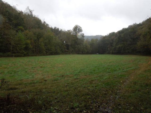 Main View