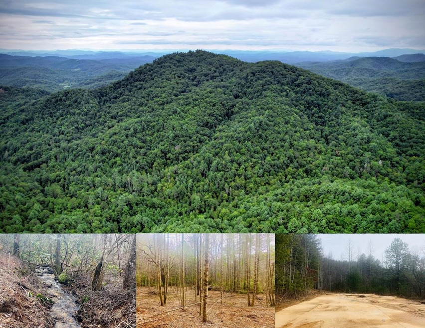 0 Flea Mountain Rd unit 417912, Murphy, NC 28906 - photo 1