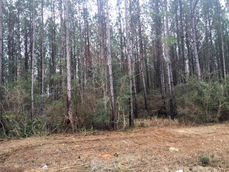 28.70 Cooks Corner, Lucedale, MS 39452 - photo 1