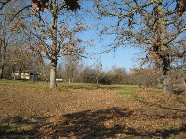 Primary Photo