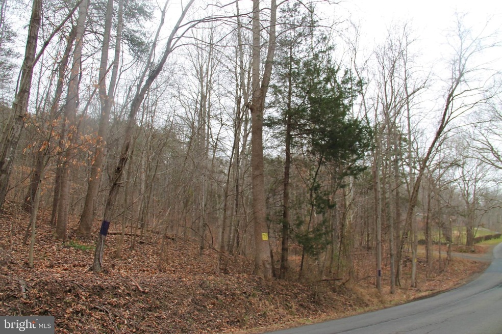 Lot 9 Carters Run Rd, Marshall, VA 20115 - photo 1