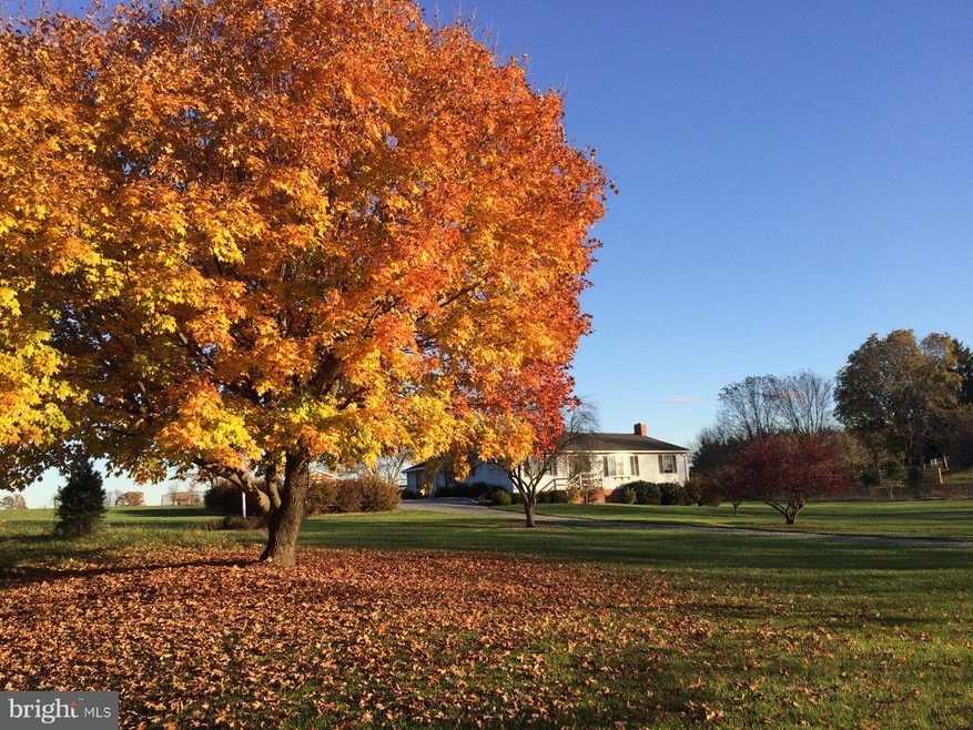 11 Spring Creek Ln, Shepherdstown, WV 25443 - photo 1