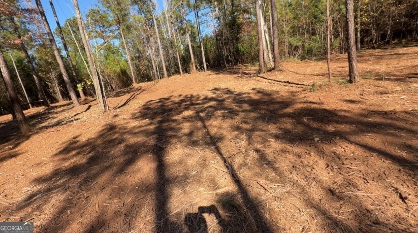 TRACT B Russellville Rd, Forsyth, GA 31029 - photo 1