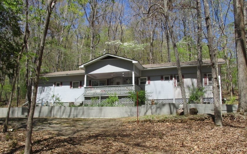 Main View