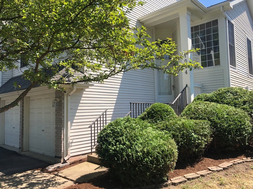 1004 N Columbia St, Naperville, IL 60563 - photo 1