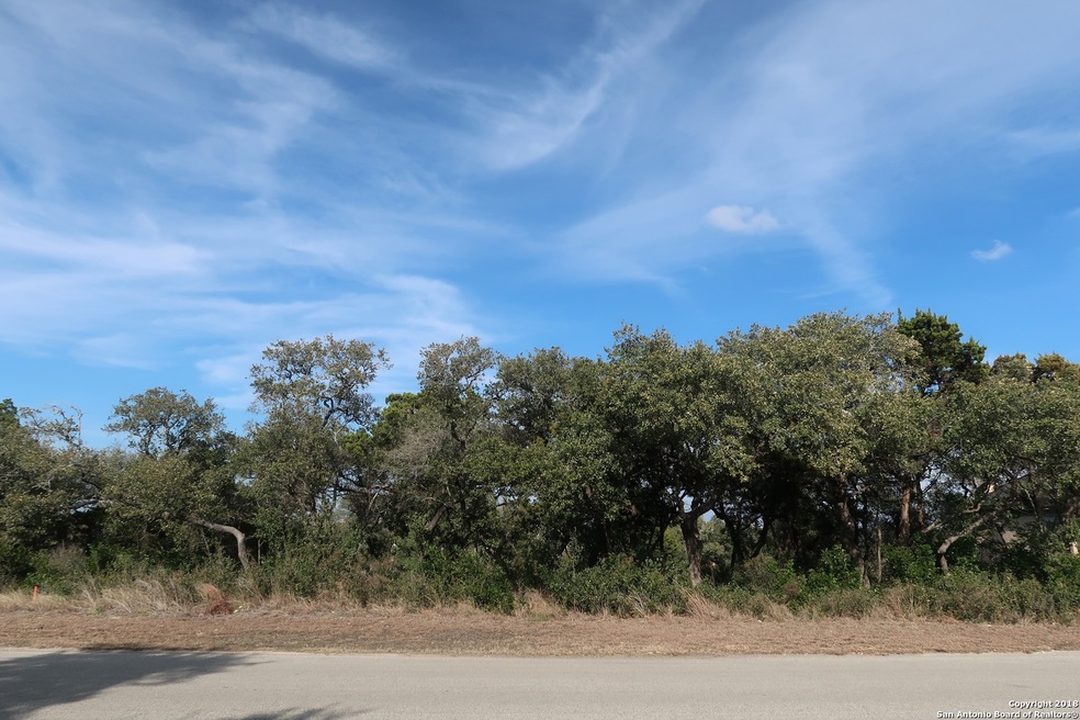 8727 Terra Mont Way, San Antonio, TX 78255 - photo 1