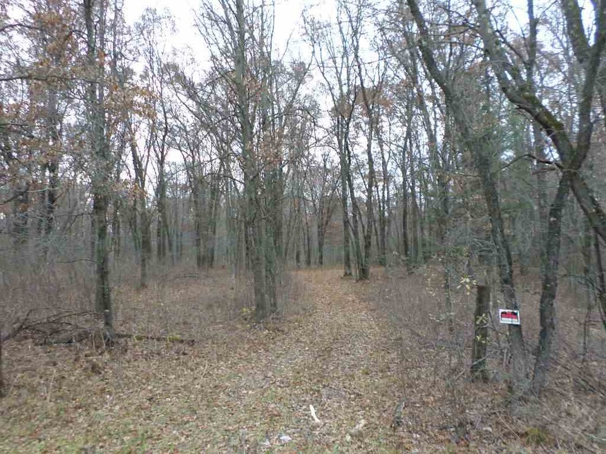 20 Ac 22nd St, Camp Douglas, WI 54618 - photo 1