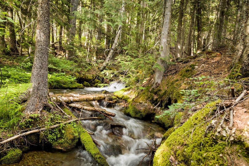 500 Spruce Trail, Bigfork, MT 59911 - photo 1