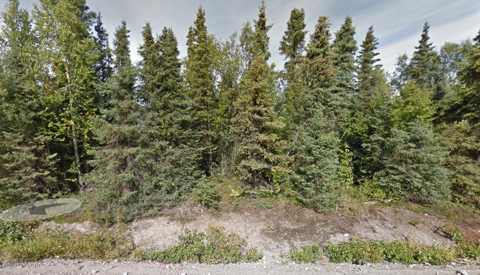 12921 W Purches Creek Rd Willow Ak