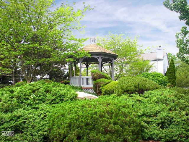 Carousel Image