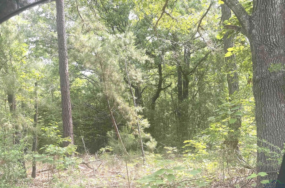 View of tree filled area
