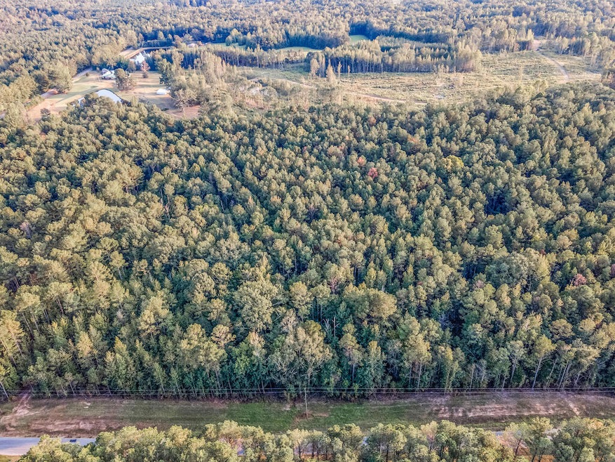 DJI_0957