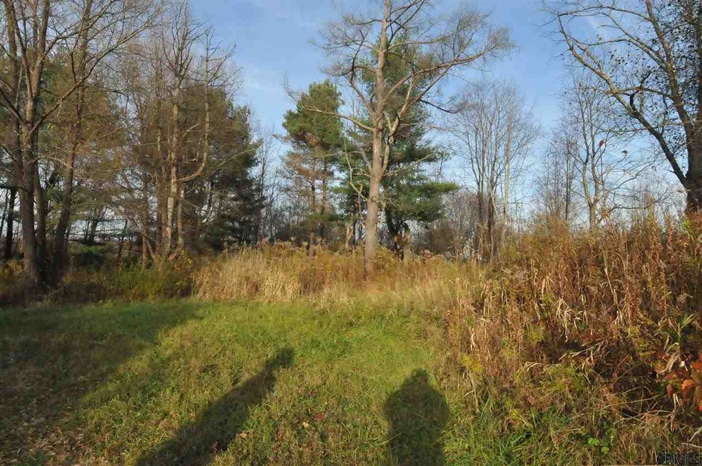 3 Dawson Rd, Schenectady, NY 12302 - photo 1