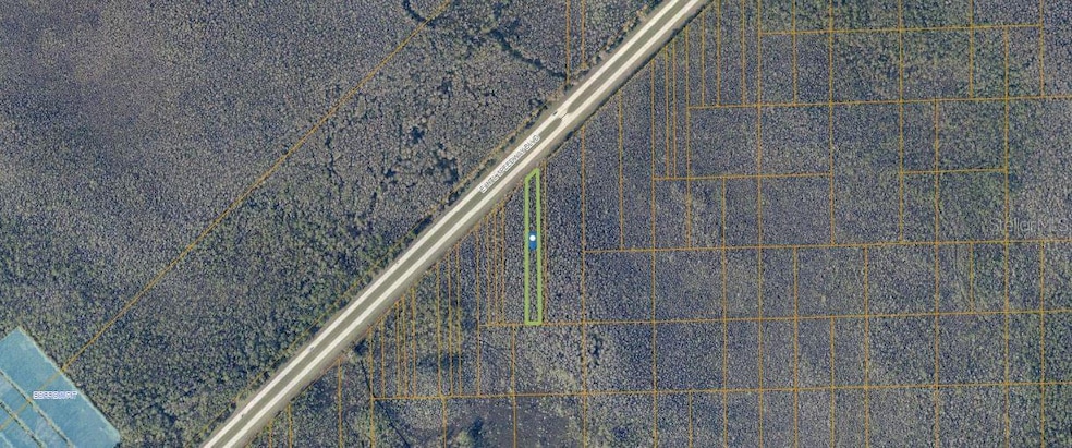 0 Turkey Roost Rd, Deland, FL 32724 - photo 1