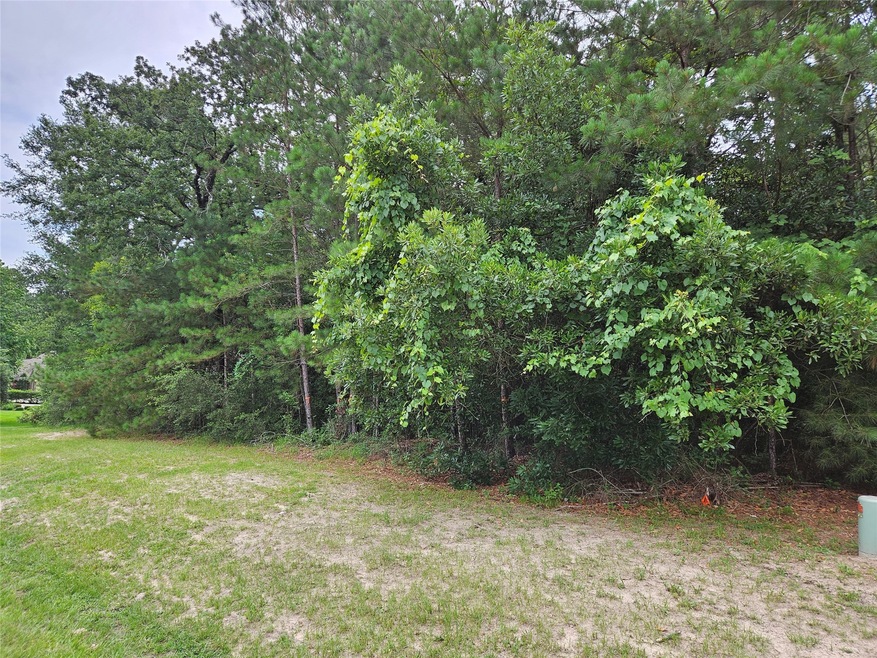 27506 Buena Way, Spring, TX 77386 - photo 1