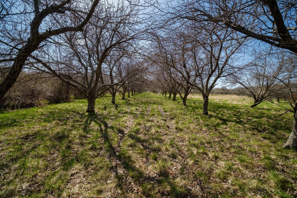 Dontz Road, 5 Acres