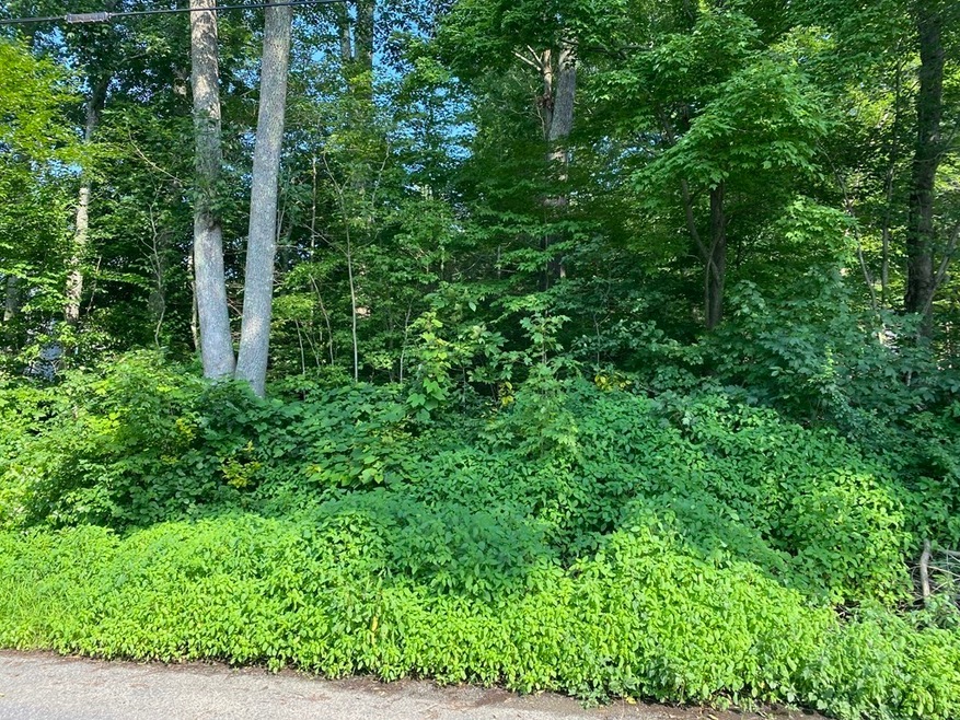 0 Island Rd L:1 unit 72866689, Holland, MA 01521 - photo 1