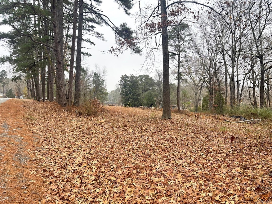 2211 S Chatfield Rd, Tull, AR 72015 - photo 1