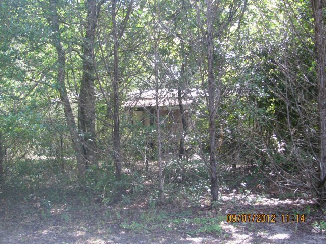 909 SW Roberts Ave, Ft. White, FL 32038 - photo 1