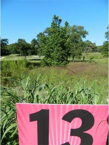 View from lot 13