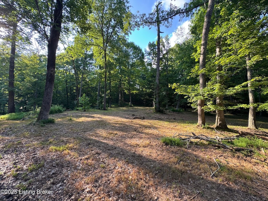 1193 Patriots Landing Ln, Falls of Rough, KY 40119 - photo 1