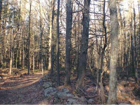 60 Vineyard Ln, York, ME 03909 - photo 1