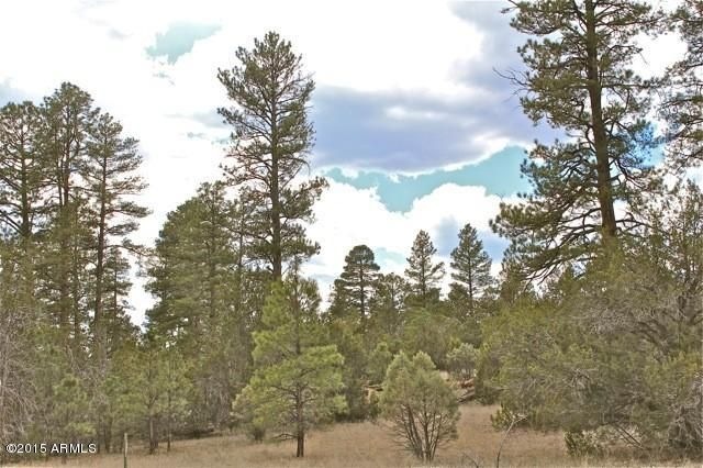 3042 Ponderosa-1