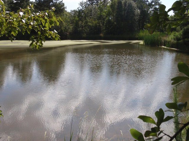 6032 SW Railroad St, Meigs, GA 31765 - photo 1