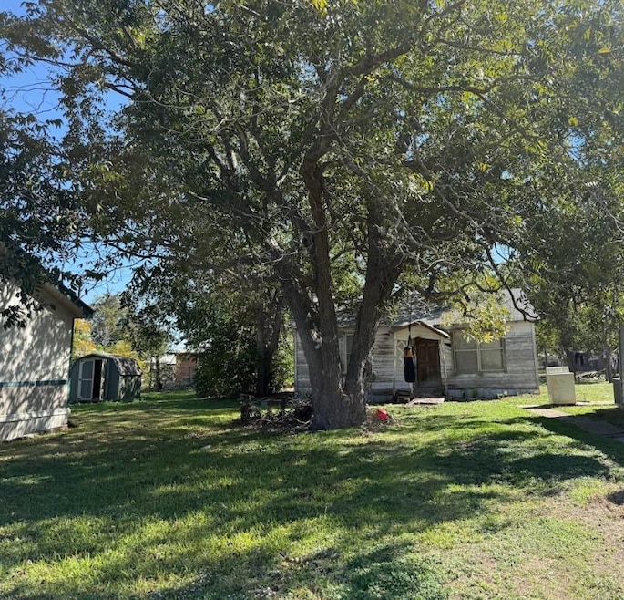 View of green lawn with a shed