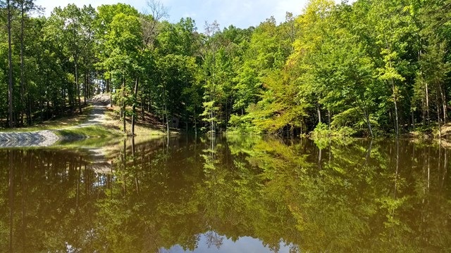 86 County Road 271, Oxford, MS 38655 - photo 1