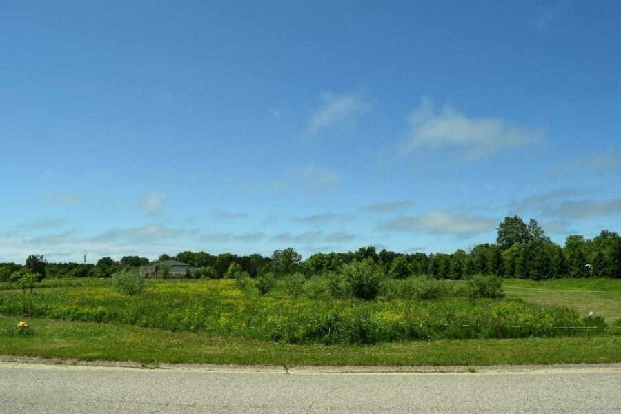 Lot 1