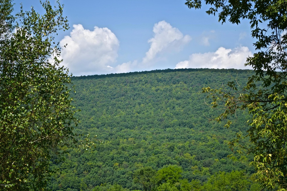 Private lot-mountain view!
