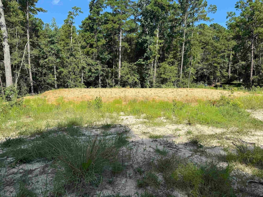 130 Ashcreek Ln unit lots 130,131, Brookeland, TX 75931 - photo 1