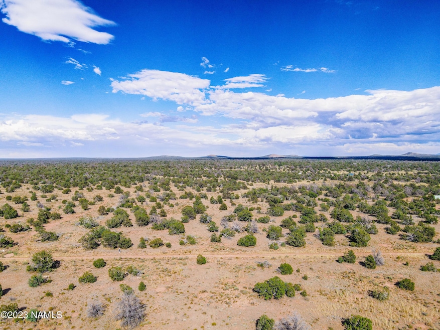 DJI_0373