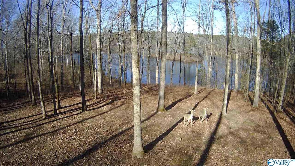 This will be your view of Pine Lake from this wonderful home. Homeowners maintain their own shore line and docks, if they have one. Must be a member of the Pine Lake Club to boat or fish.