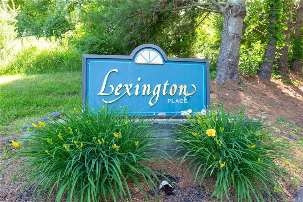 41 Lexington Place S unit 41, Durham, CT 06422 - photo 1