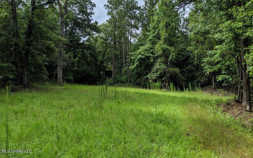 Wooded property