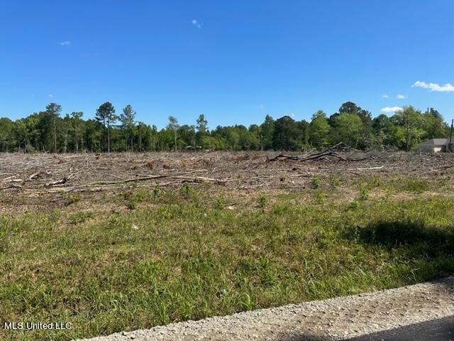 0 Davis Sawmill Rd, Lucedale, MS 39452 - photo 1
