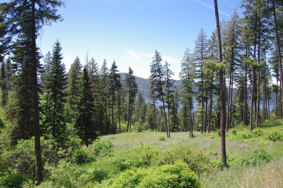 Lot 6 Blk1 Promontory, Harrison, ID 83833 - photo 1