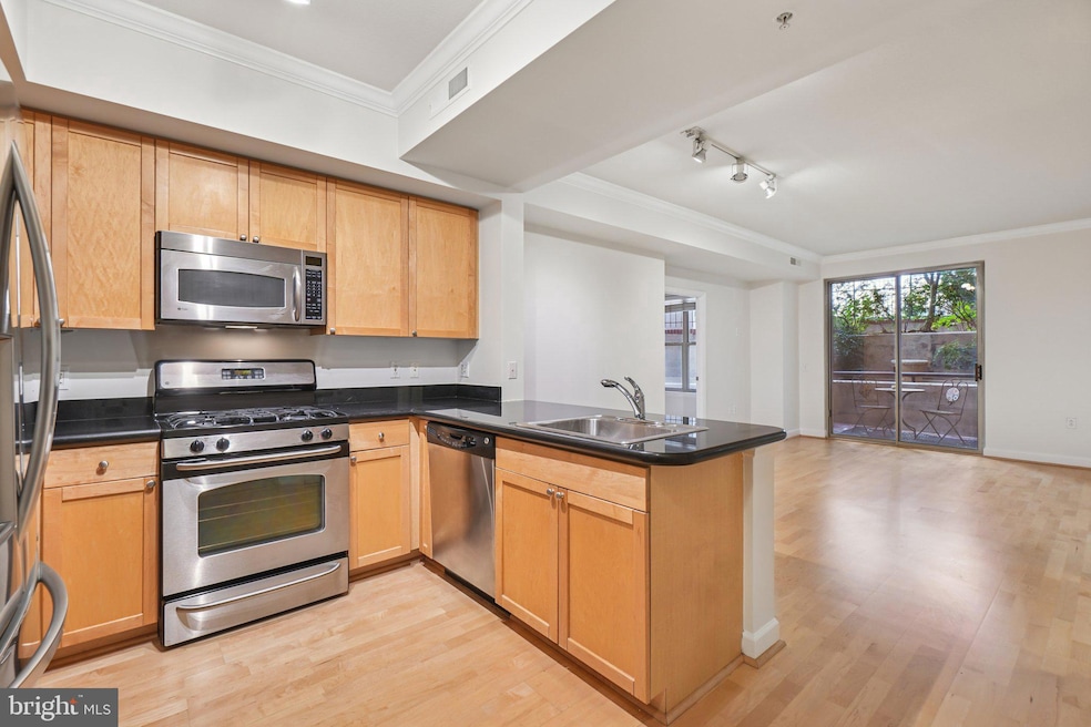 1441 Rhode Island Ave NW unit M06, Washington, DC 20005 - photo 1