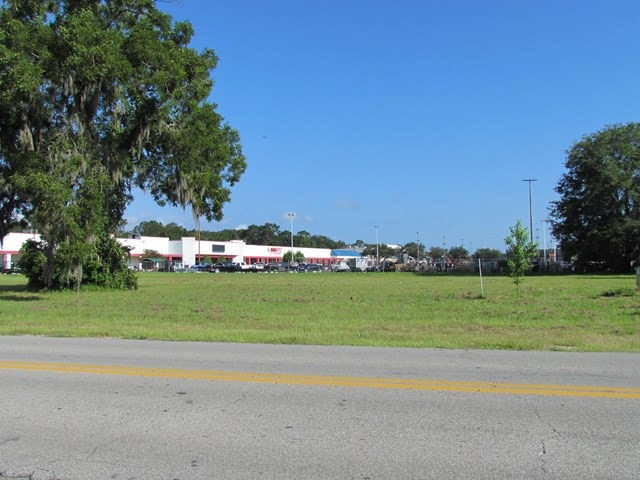 Main View