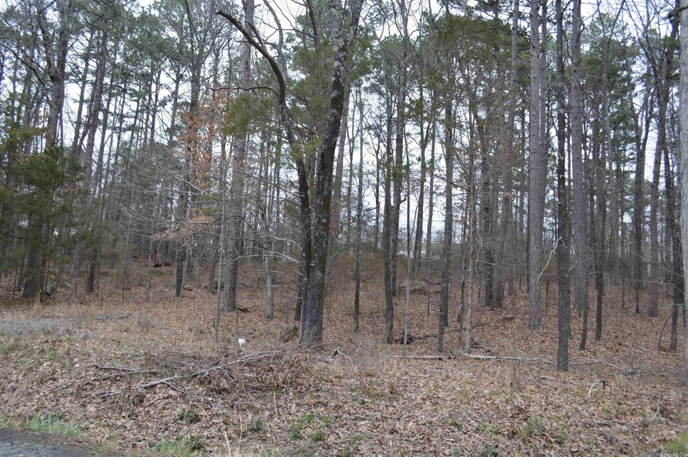 0 Wedgewood, Heber Springs, AR 72543 - photo 1