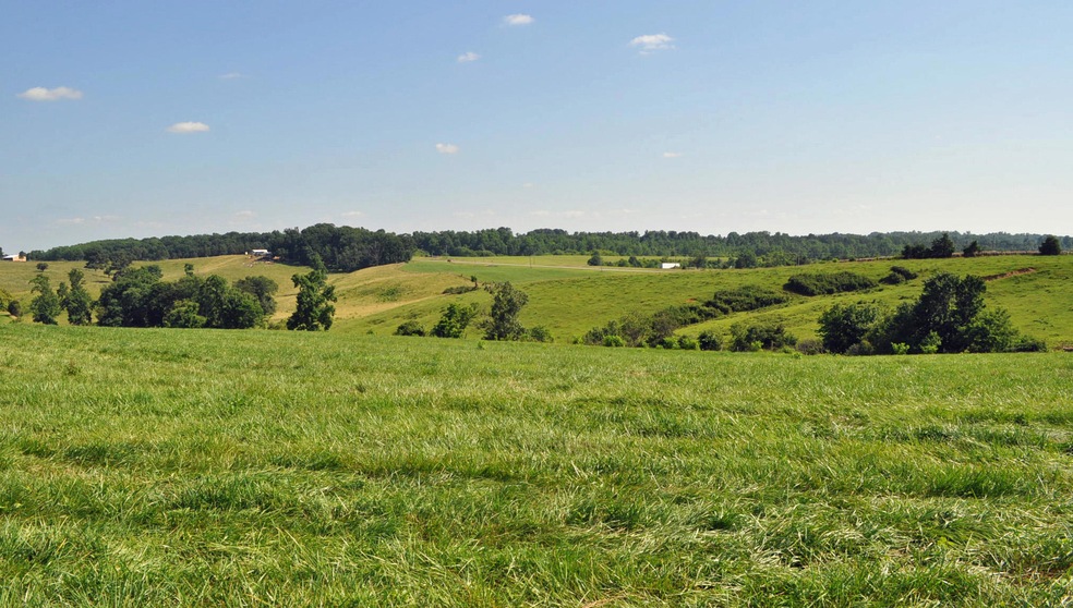 Looking South
