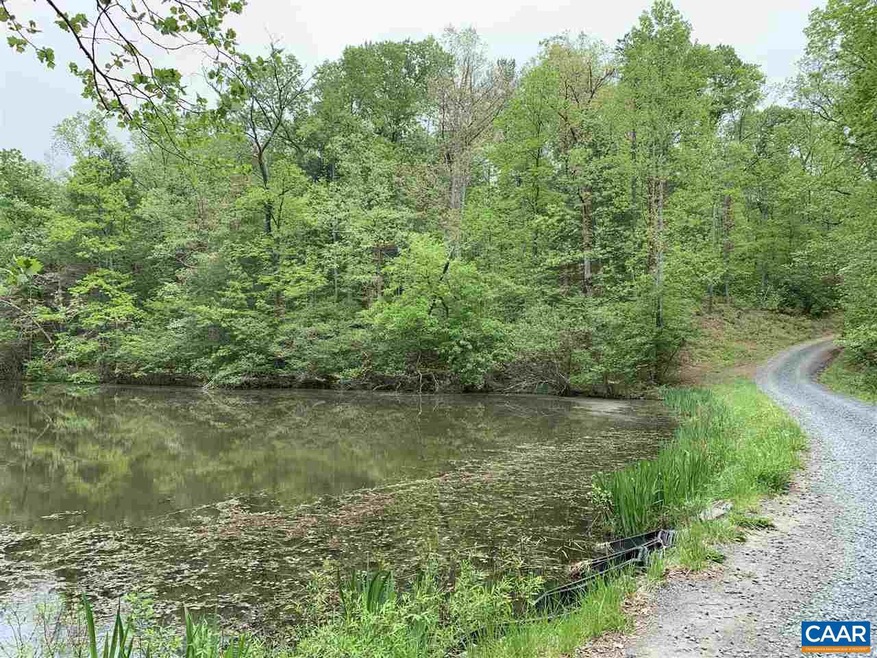 TBD Flint Lake Rd unit 96, Stanardsville, VA 22973 - photo 1