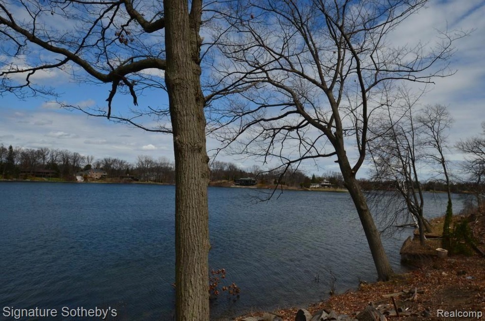 Dynamic views of Lower Long Lake