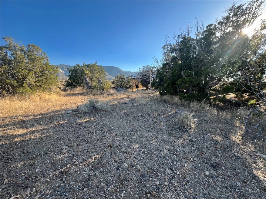 776 Silver Creek Canyon Rd, Lucerne Valley, CA 92356 - photo 1