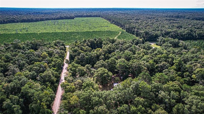 3742 276th Terrace, Branford, FL 32008 - photo 1