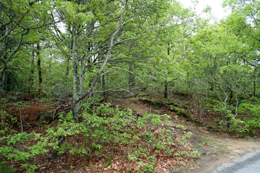 Stone hedge Lot 2