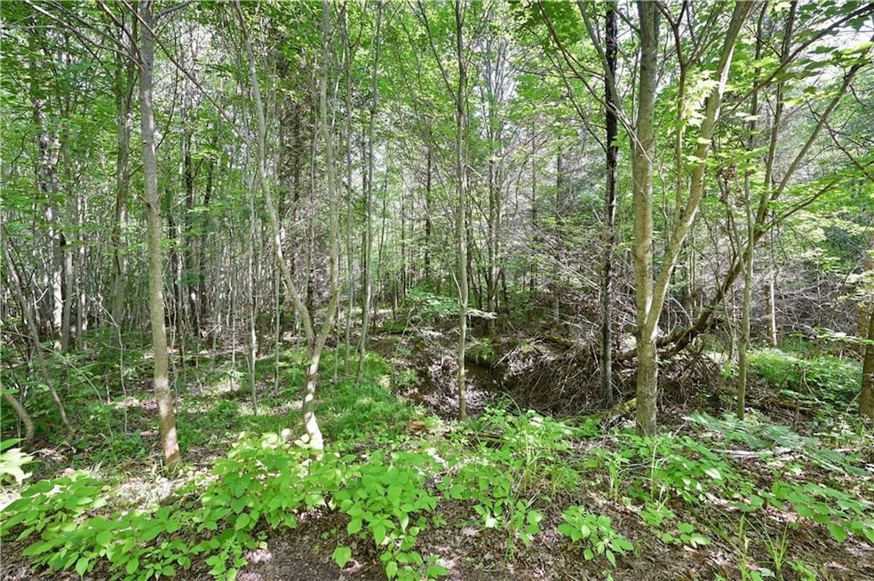 Sold $37,000 • Co-Listing Agent