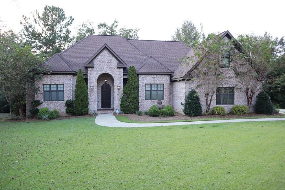 Main View